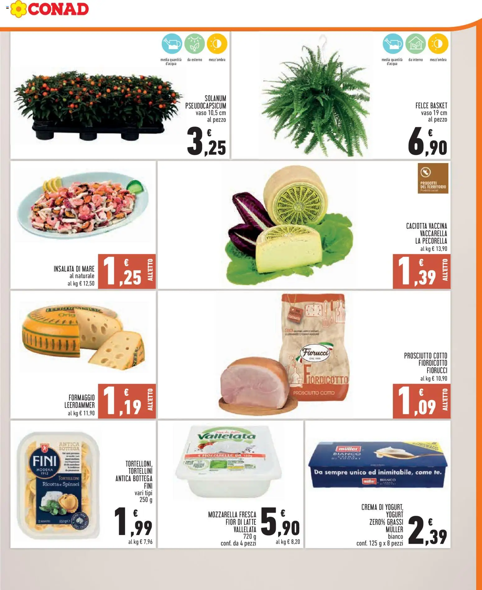 Volantino Conad del 16/09/2026 | Pagina: 3 | Prodotti: Crema, Prosciutto Cotto, Prosciutto, Vaso