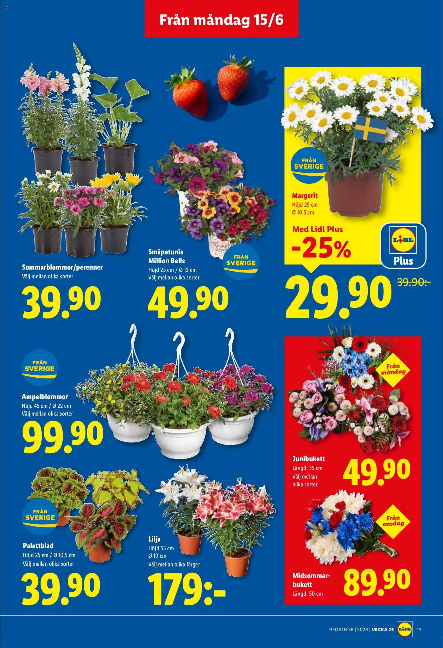 Lidl reklamblad aktuell från 15.06.2026 | Sida: 15