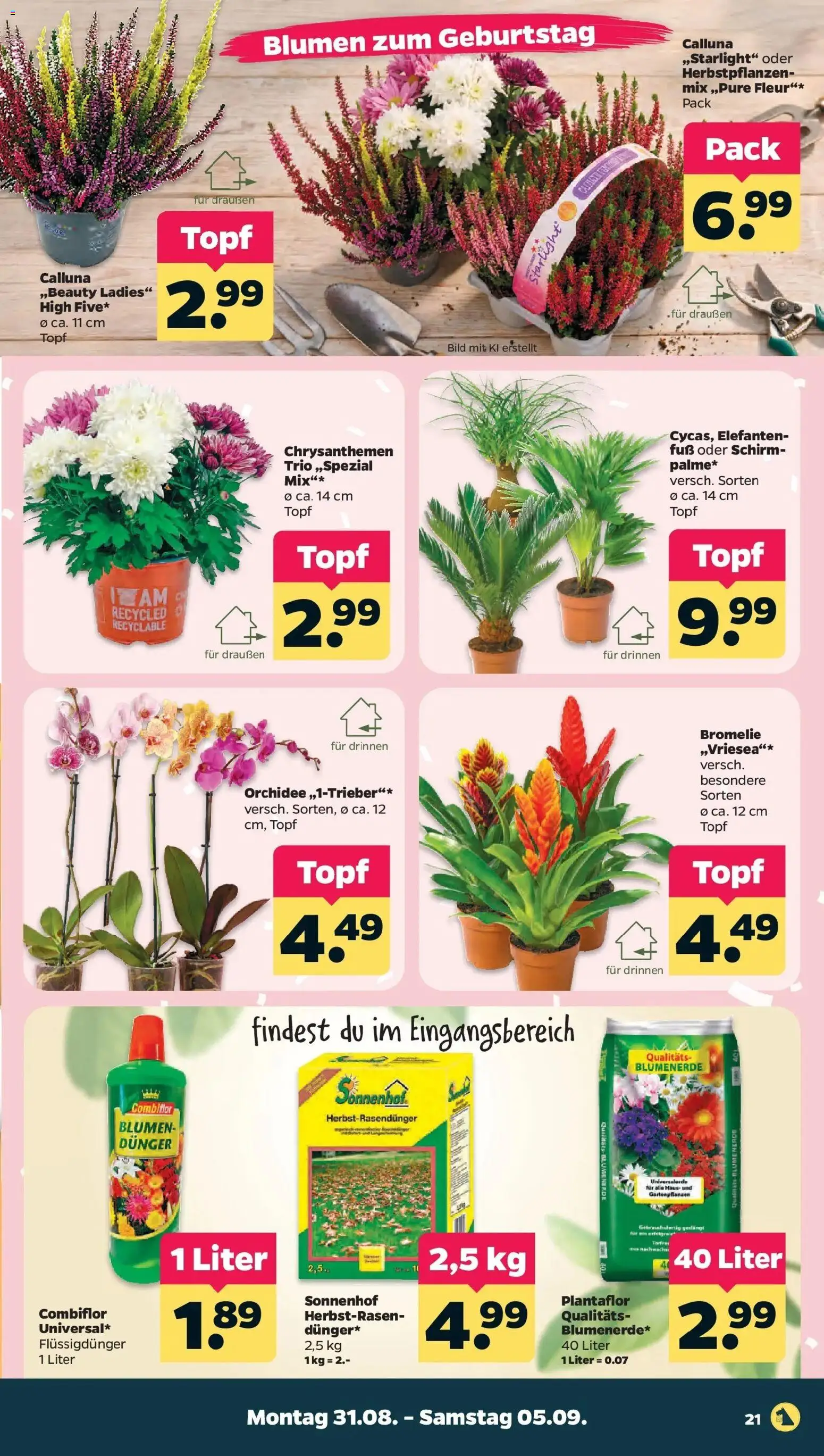 Netto Aktueller Prospekt – gültig ab 30.08.2026 | Seite: 23 | Produkte: Orchidee, Blumen, Blumenerde