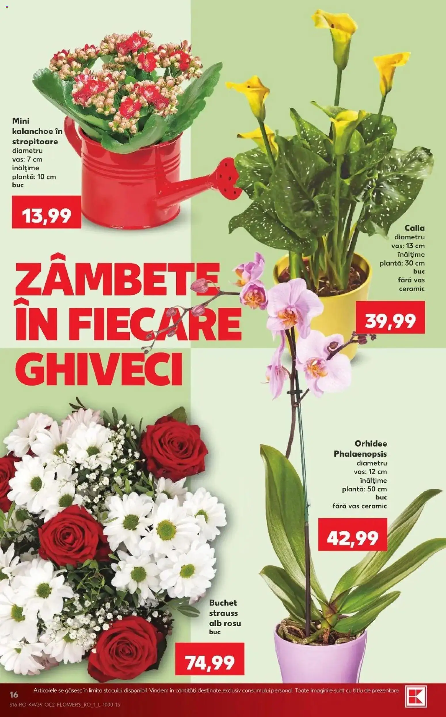 Kaufland Constanța 23.09.2026 - Revista si Oferta | Pagină: 16 | Produse: Orhidee, Ghiveci