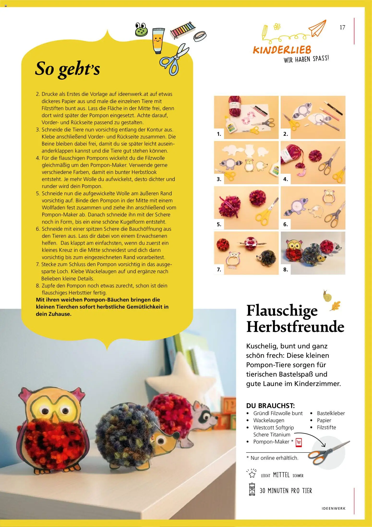 Pagro-Diskont Ideenwerk gültig ab 01.09.2026 | Seite: 17