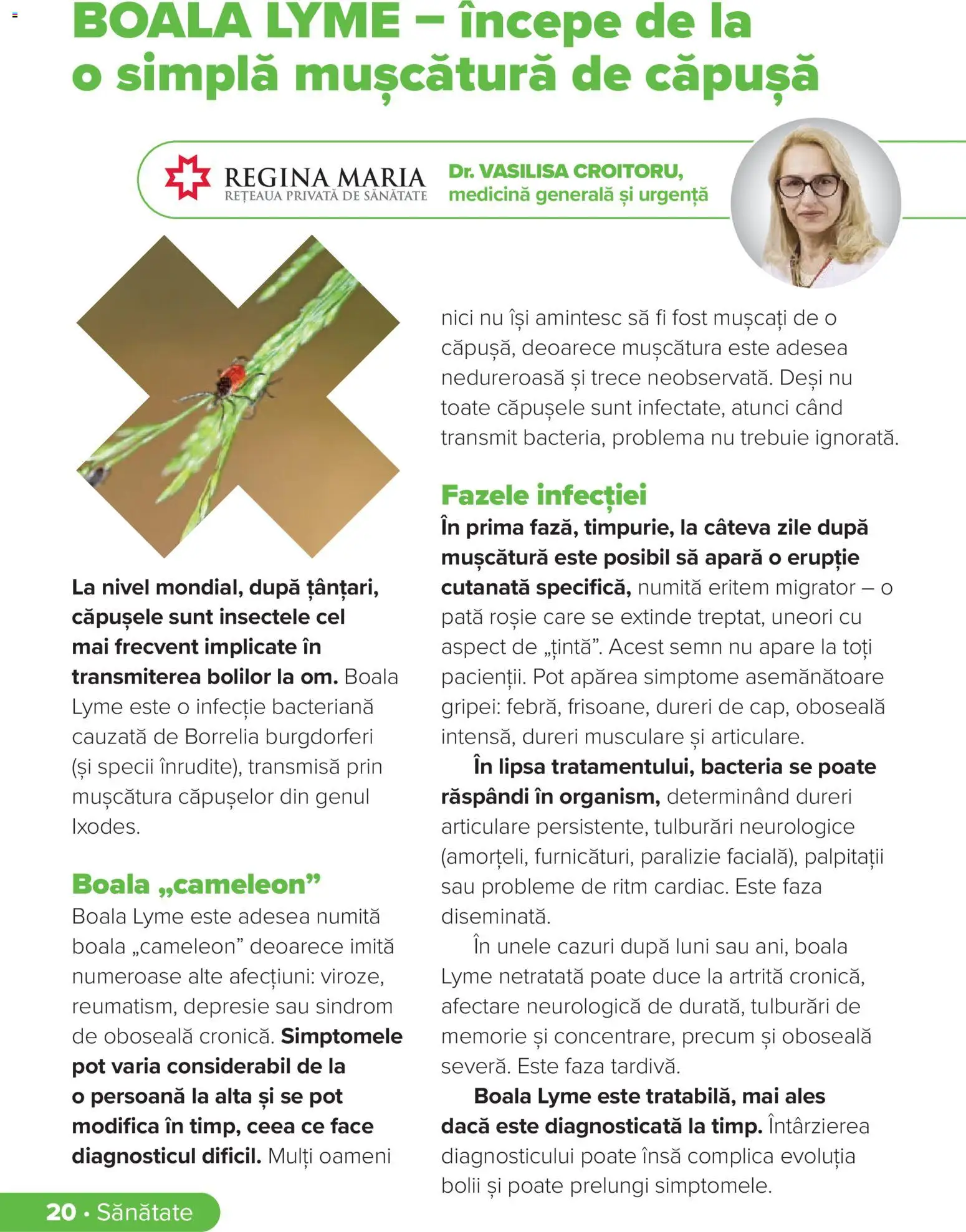 Noul catalog Dr.Max – valabil de la 01.03.2026 | Pagină: 20 | Produse: Memorie