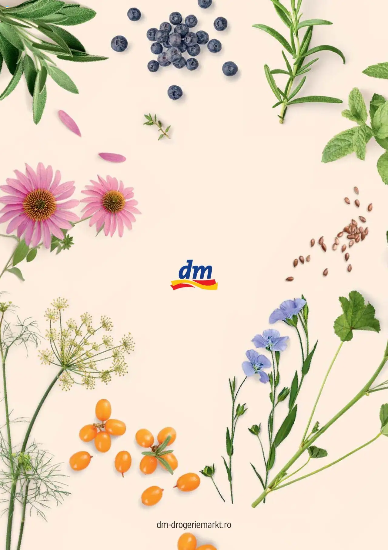 Noul catalog DM drogeriemarkt – valabil de la 01.01.2022 | Pagină: 44