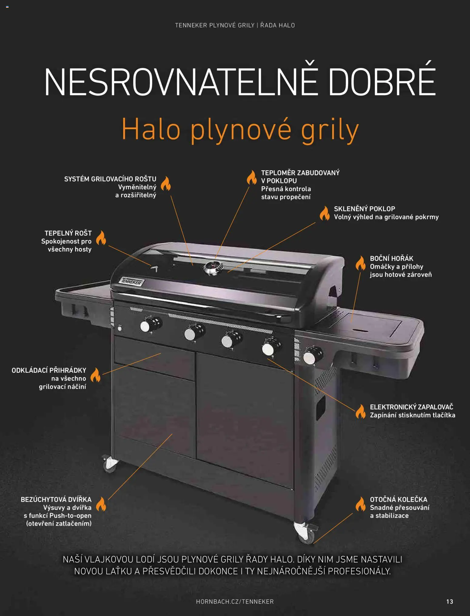 HORNBACH leták - Magazín o grilování od 01.01.2026 | Strana: 13 | Produkty: Teploměr, Omáčky, Rošt