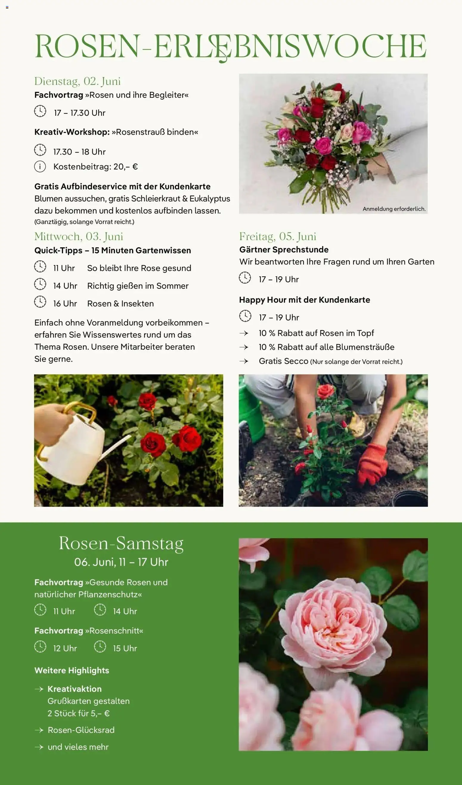 Pflanzen-Kölle Rosenerlebniswochen Fellbach – gültig ab 01.06.2026 | Seite: 8 | Produkte: Blumen, Uhr