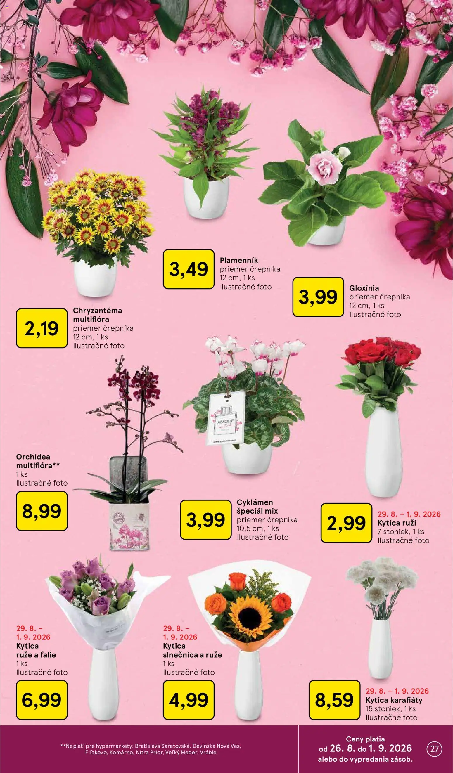 Nové Tesco akcie – leták je platný od 26.08.2026 | Strana: 27 | Produkty: Ruže, Orchidea