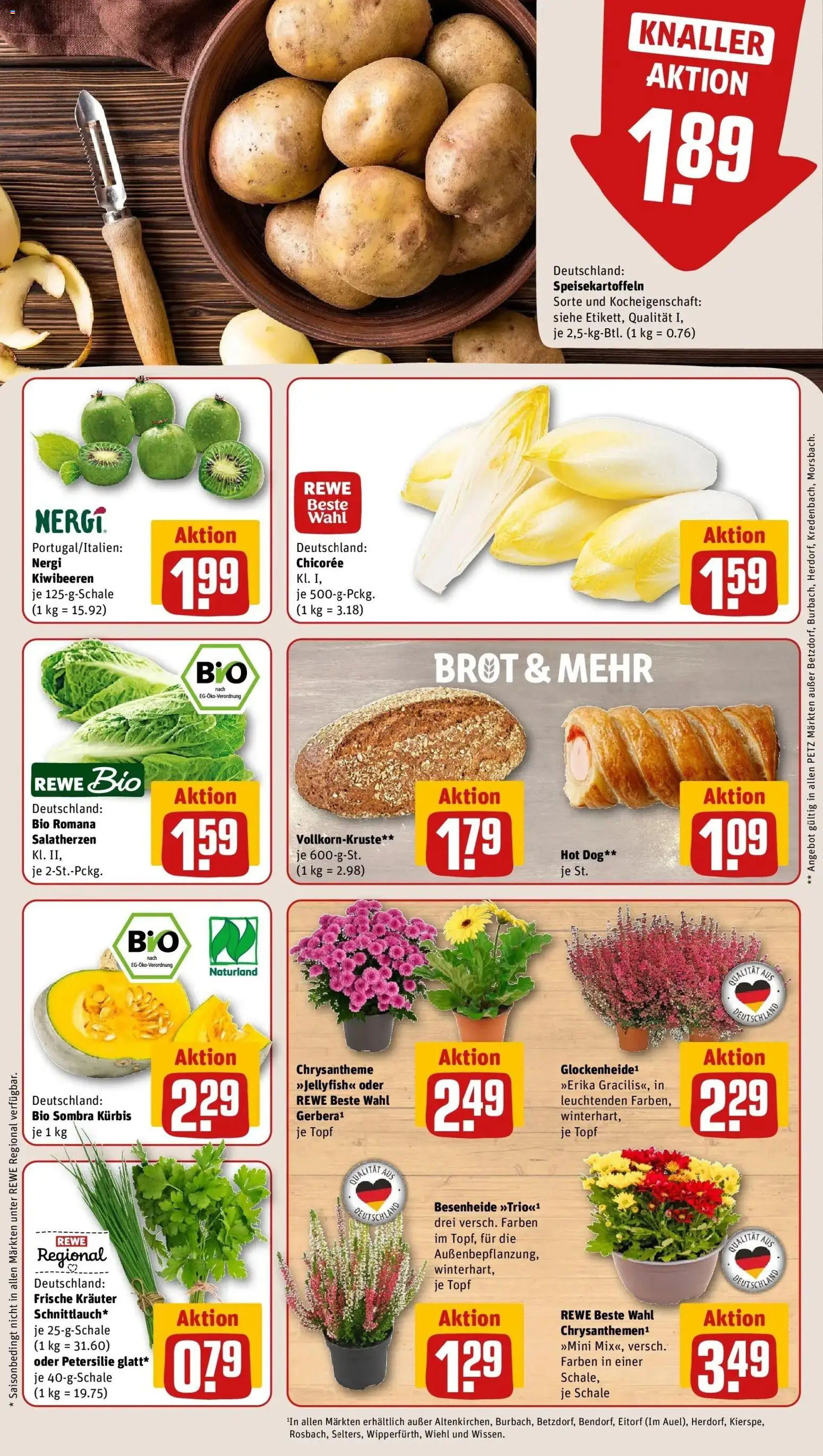 REWE Prospekt ab 21.09.2026 zum Blättern » Angebote | Seite: 13 | Produkte: Kürbis, Petersilie, Brot