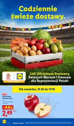 Pogląd oferty "Polskie jabłka czerwone, luzem, Polskie jabłka czerwone, luzem" - ważna od 15.10.2026 | Strona: 46