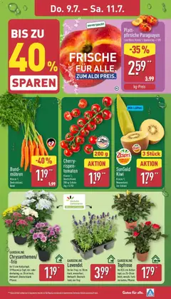 BISCOTTO Best of Kekse & Waffeln, Gebäck- und Waffel-Mischung, z. T. schokol iert; 300-g-Dose (kg = 8.30) ab 06.07.2026 gültig | Seite: 31 | Produkte: Rotkappchen sekt, Lillet, Mango, Saft