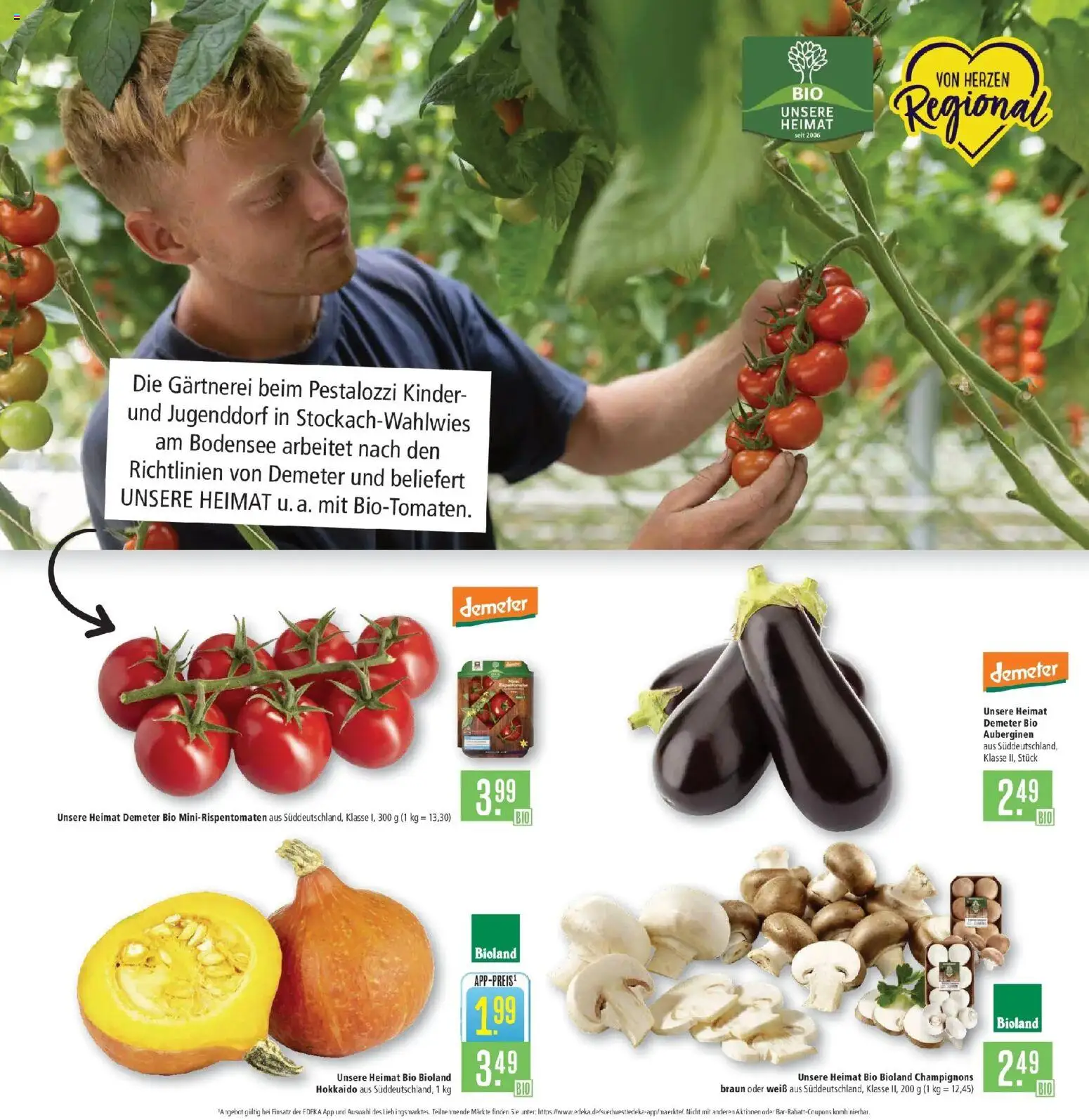 Marktkauf Prospekt Aschaffenburg (ab 31.08.2026) » Angebote online | Seite: 4 | Produkte: Champignons