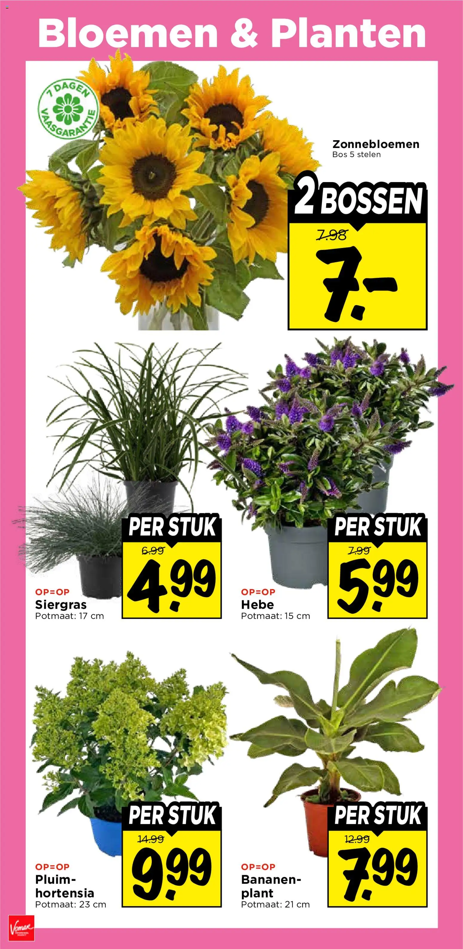 {H1} | Pagina: 39 | Producten: Bananen, Bloemen