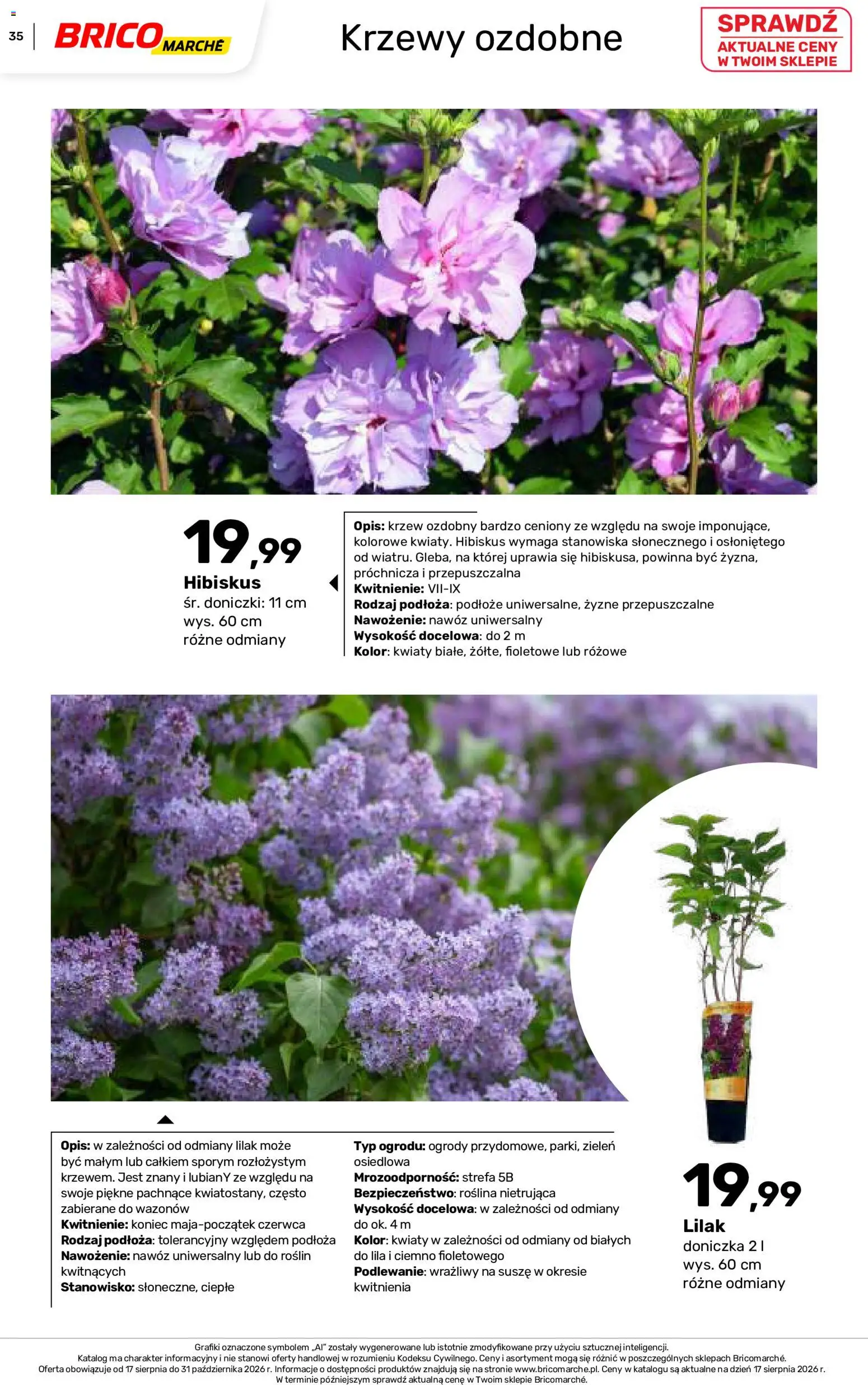 Brico Marché gazetka - Jesienne Inspiracje od 17.08.2026 | Strona: 35 | Produkty: Podłoże, Doniczka, Nawóz, Doniczki