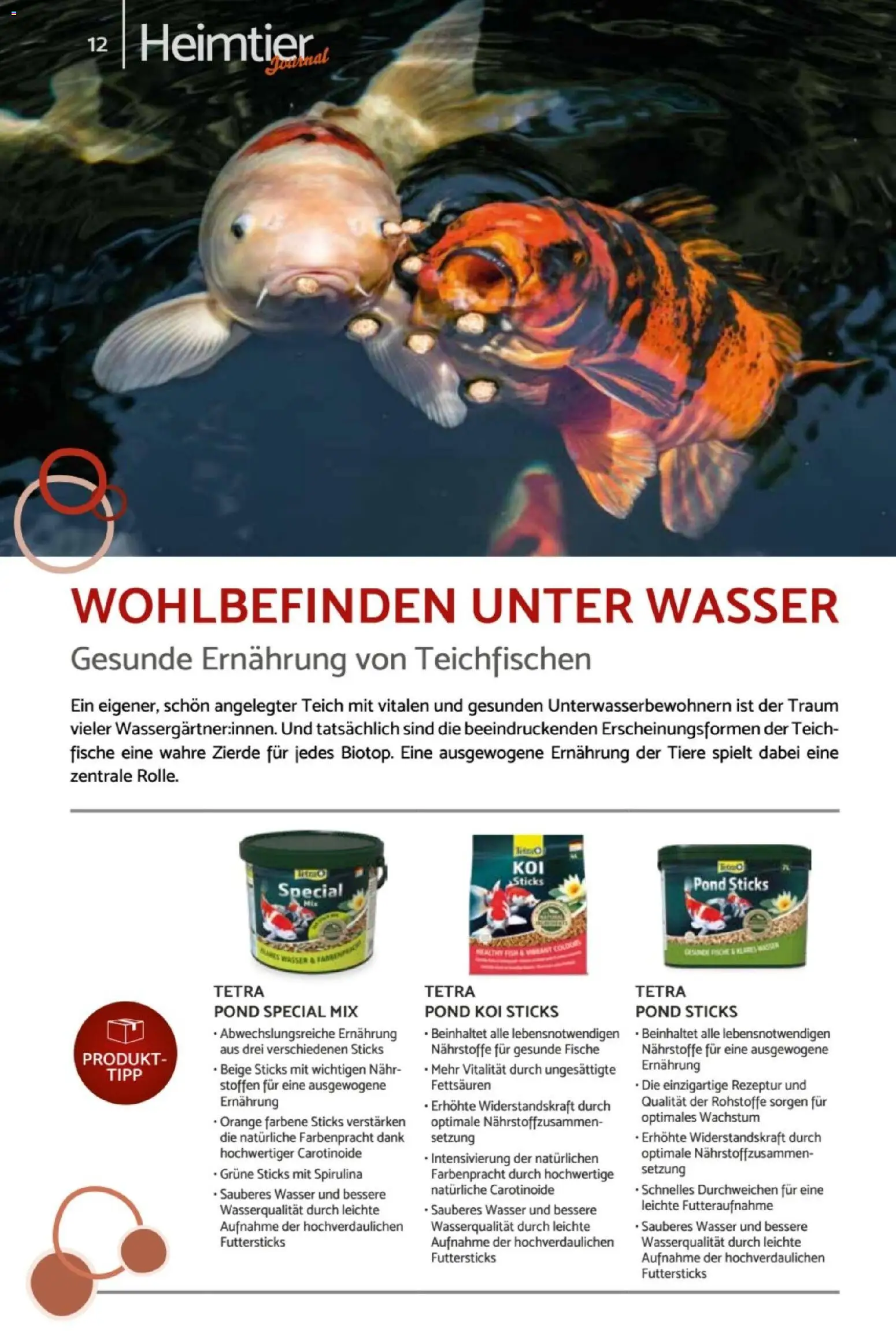 zookauf Heimtier Journal – gültig ab 01.06.2026 | Seite: 12 | Produkte: Wasser
