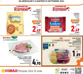 Anteprima del volantino BISCOTTI MULINO BIANCO BARILLA, vari tipi 700/800 g un esempio: tarallucci 800 g valido a partire dal 09/09/2026 | Pagina: 28