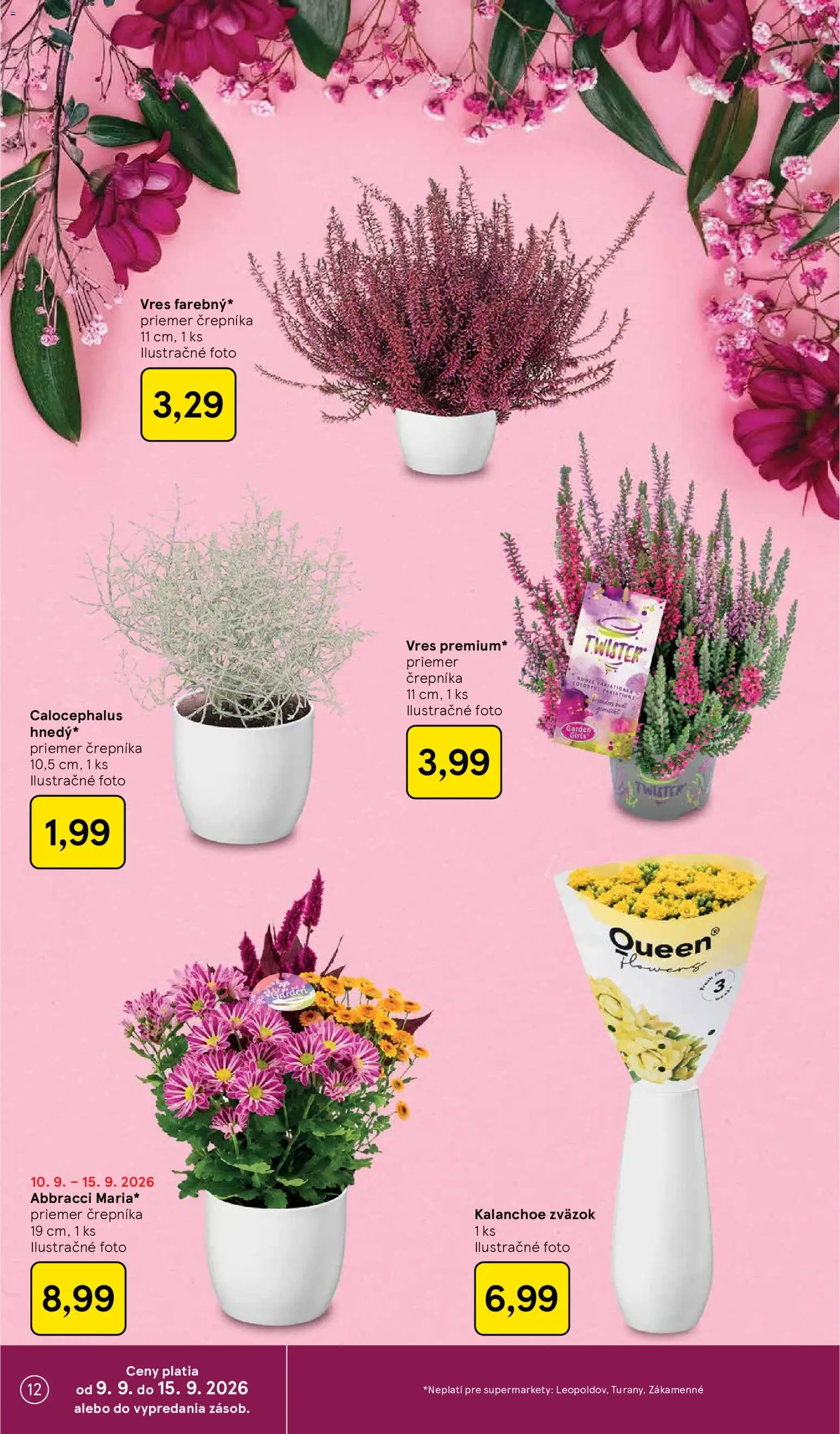 Nové Tesco akcie – leták je platný od 09.09.2026 | Strana: 12