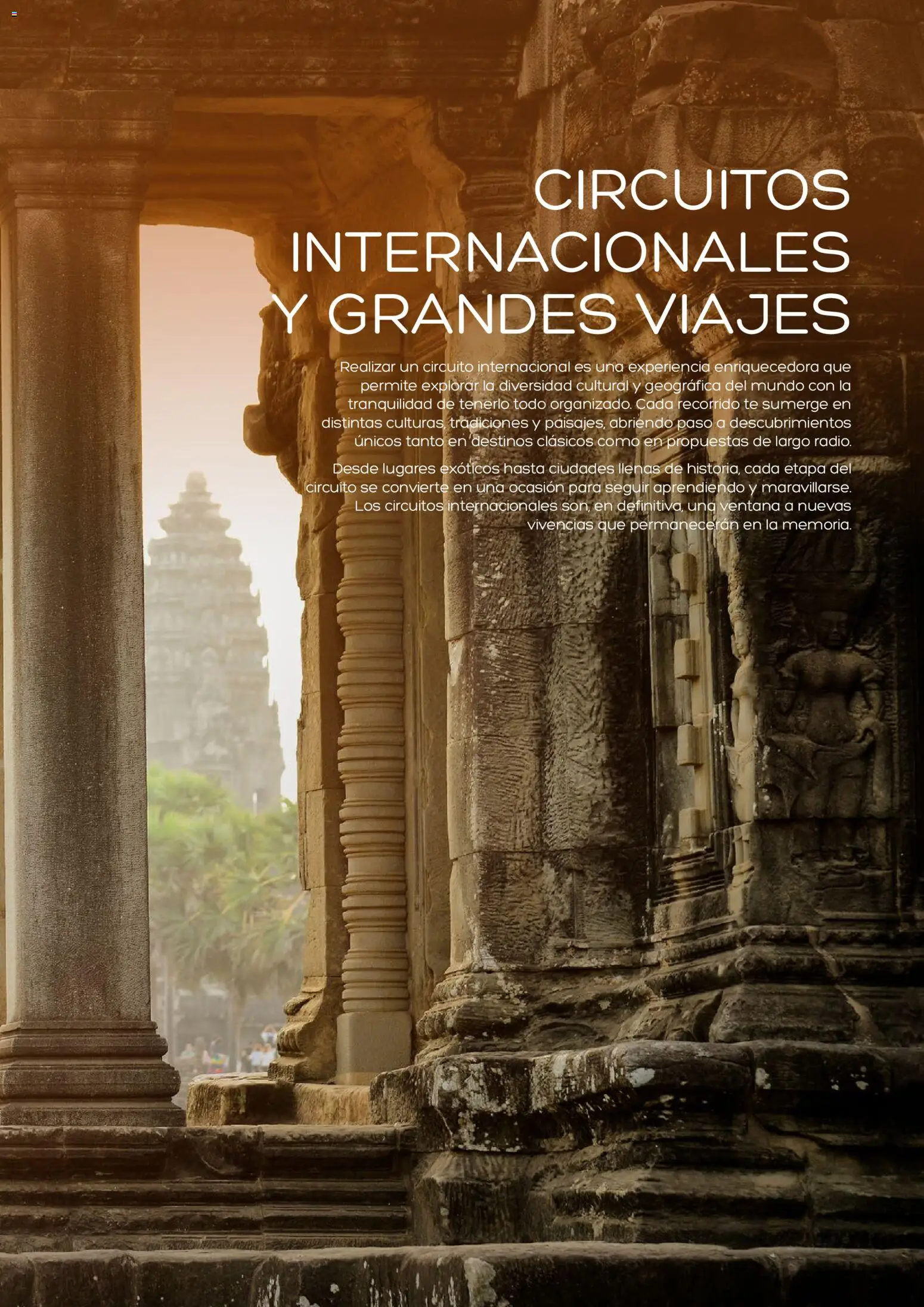 Viajes El Corte Inglés Adineko genérico │ válido desde el 01/02/2026 | Página: 17 | Productos: Té