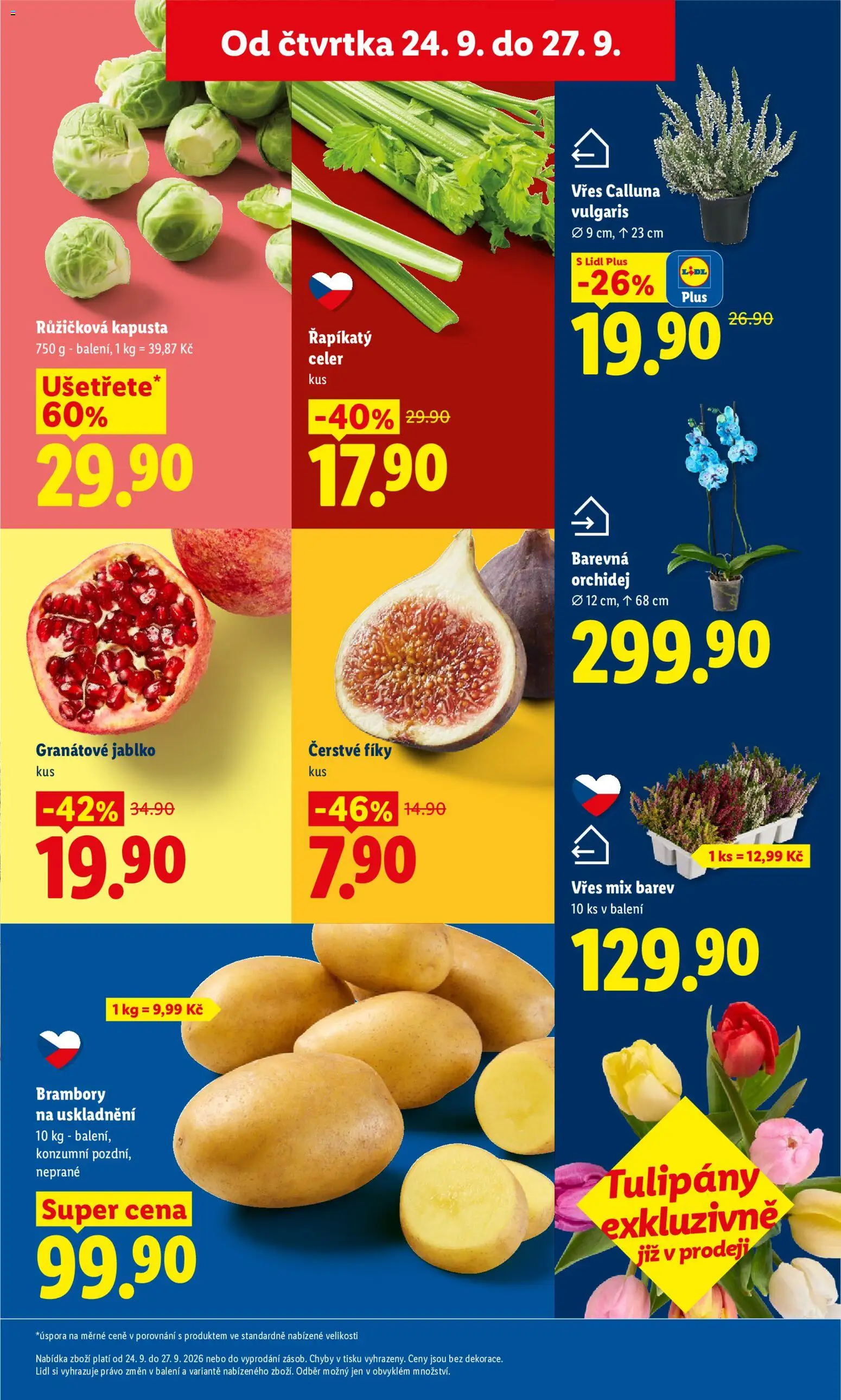 Lidl leták od 24.09.2026 | Strana: 15