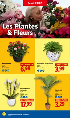 LIDL - Prévisualisation de LIDL catalogue valide à partir de 09/07/2026 | Page: 30
