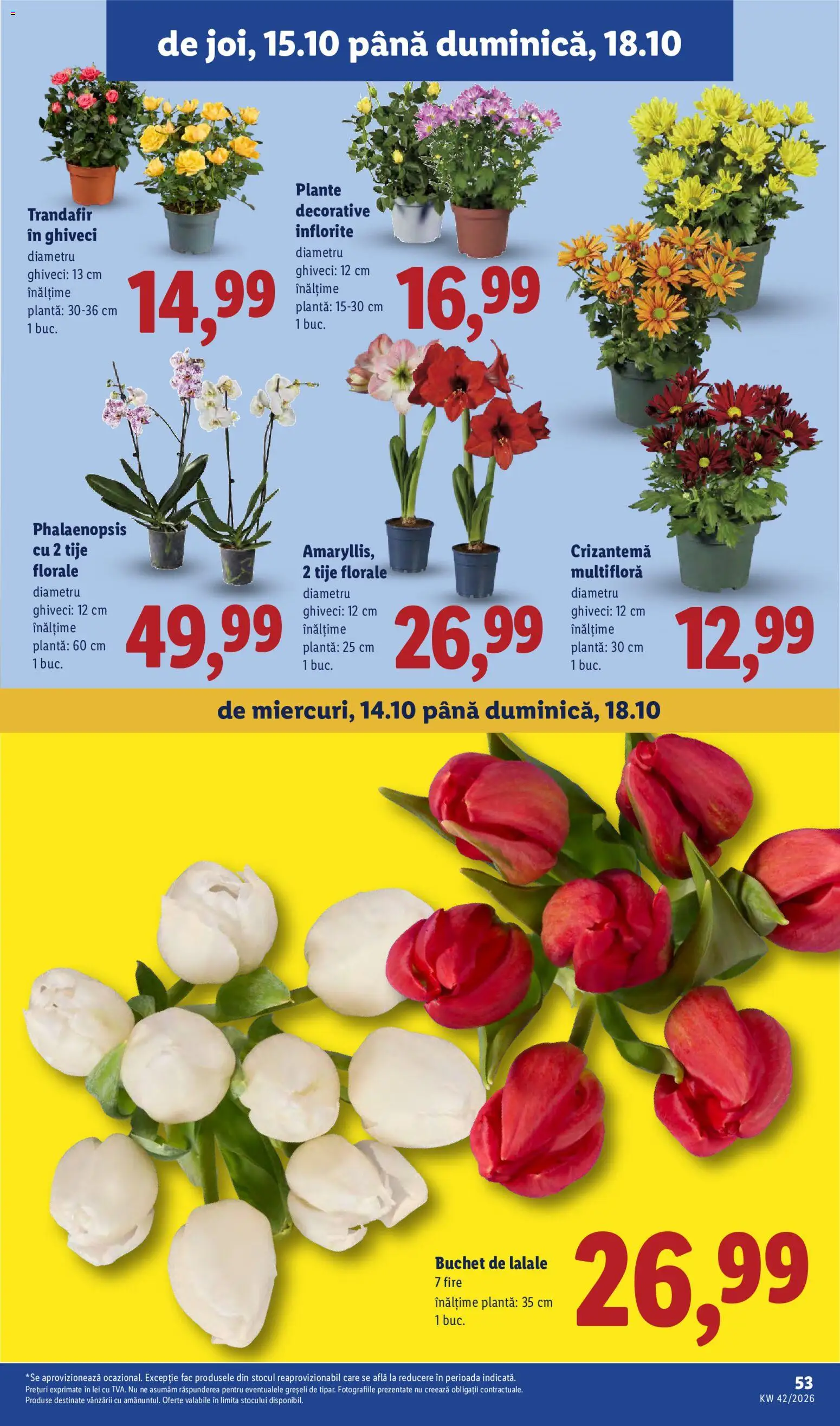 Noul catalog Lidl – valabil de la 12.10.2026 | Pagină: 53
