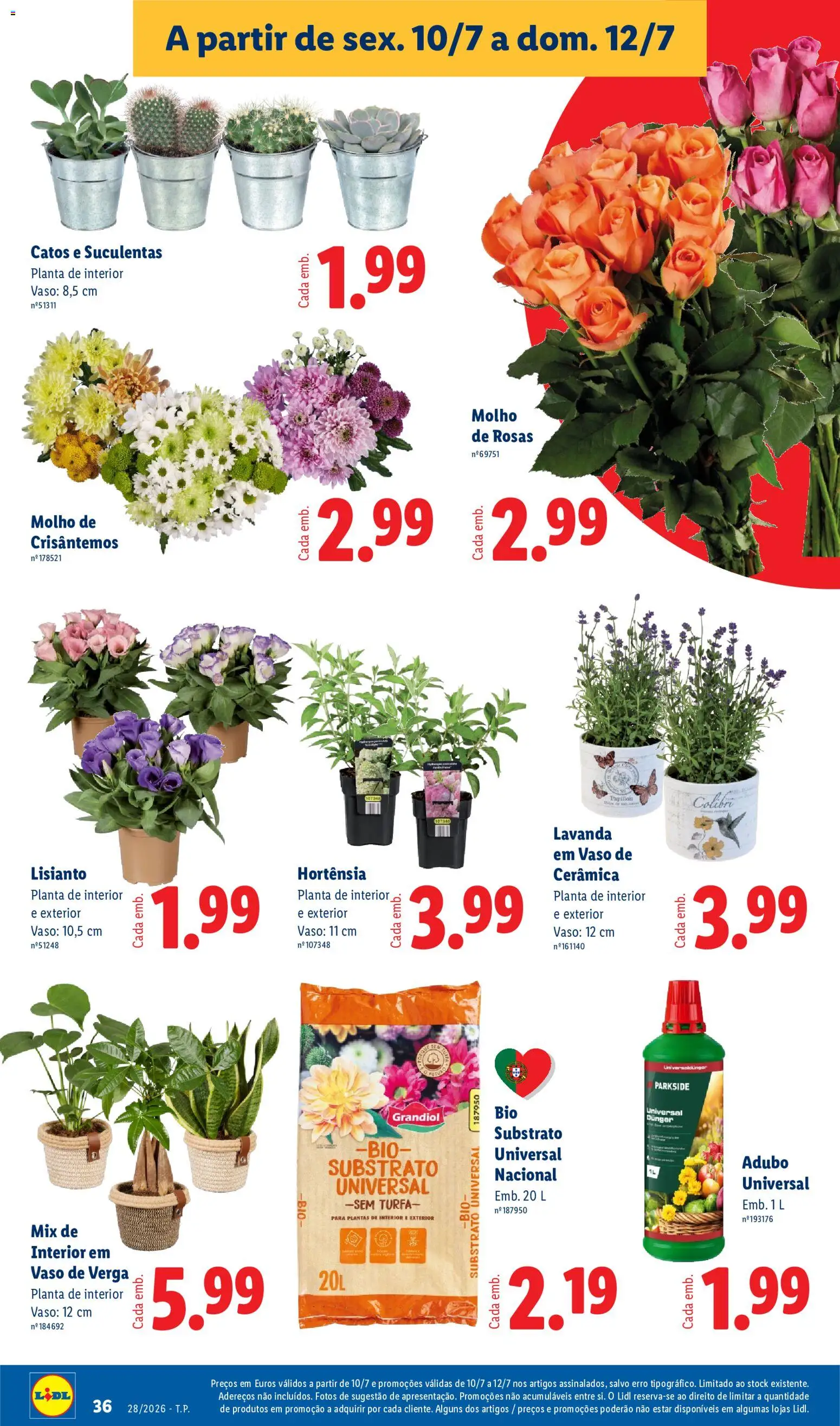 Lidl folheto │ válido de 06/07/2026 | Página: 36 | Produtos: Vaso