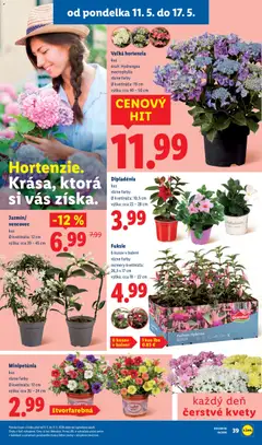Lidl leták platný od 11.05.2026 | Strana: 38