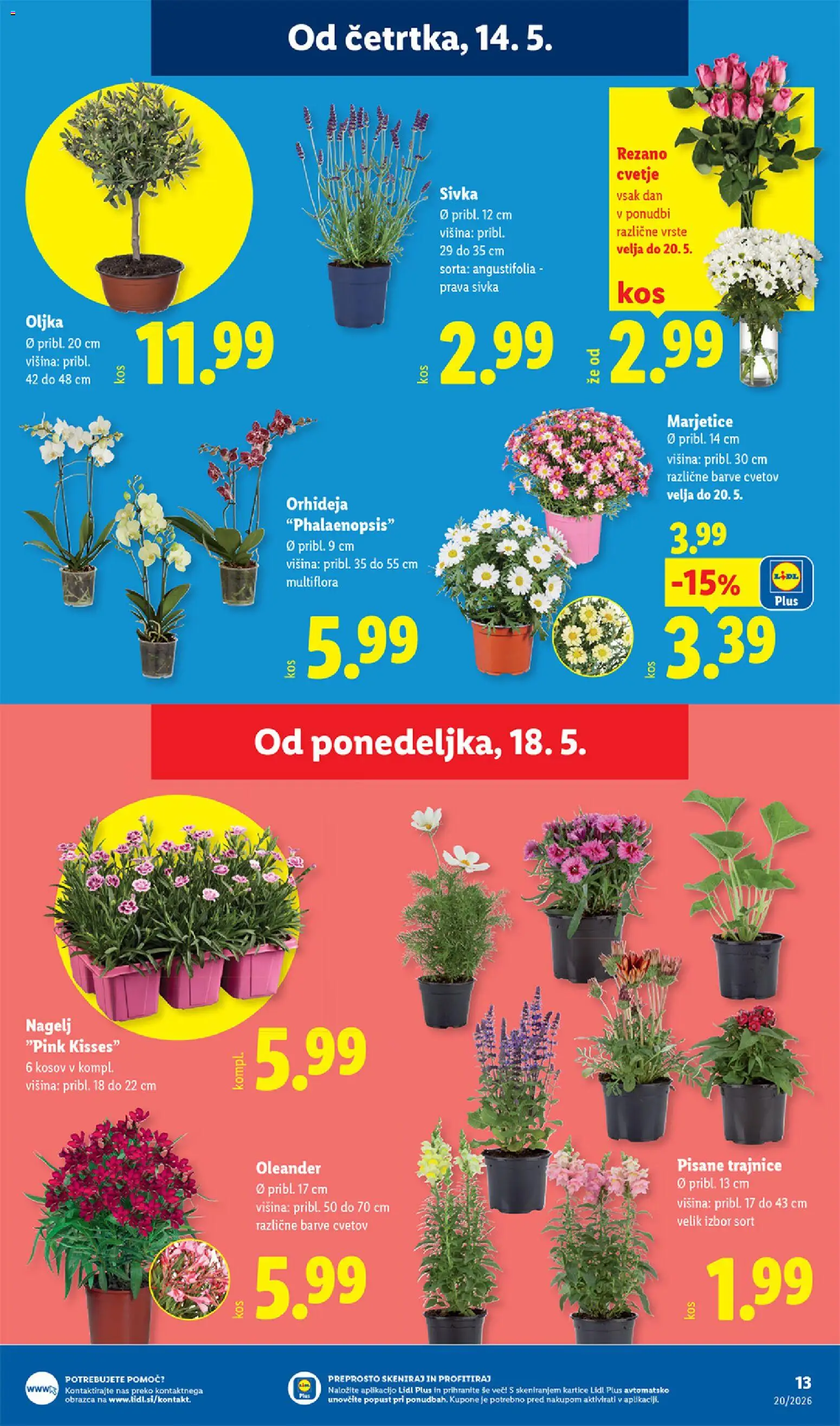 Novi Lidl katalog ponudbe – veljaven od 14.05.2026 | Stran: 33 | Izdelki: Cvetje