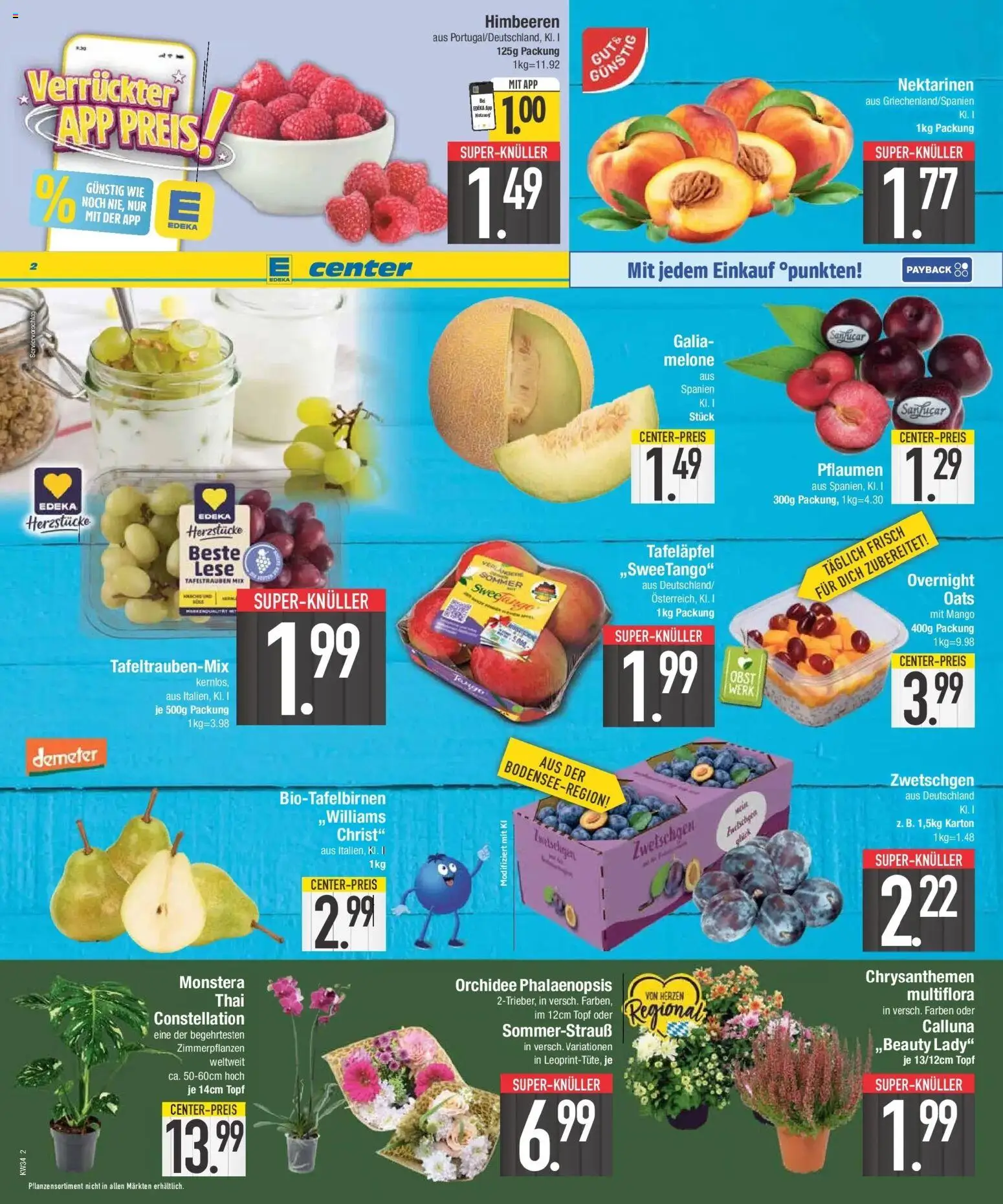 E center Prospekt Gaimersheim (ab 17.08.2026) zum Blättern | Seite: 2 | Produkte: Pflaumen, Nektarinen, Orchidee, Melone