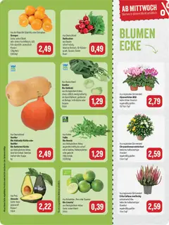 Feneberg Angebote ab 05.10.2026 gültig | Seite: 7 | Produkte: Blumen, Orangen, Avocado, Kürbis