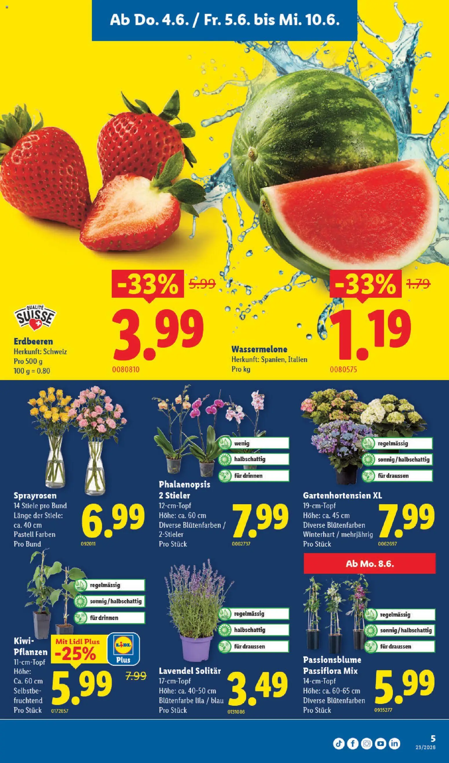 Lidl aktionen – gültig ab 04.06.2026 | Seite: 5 | Produkte: Erdbeeren, Kiwi, Wassermelone