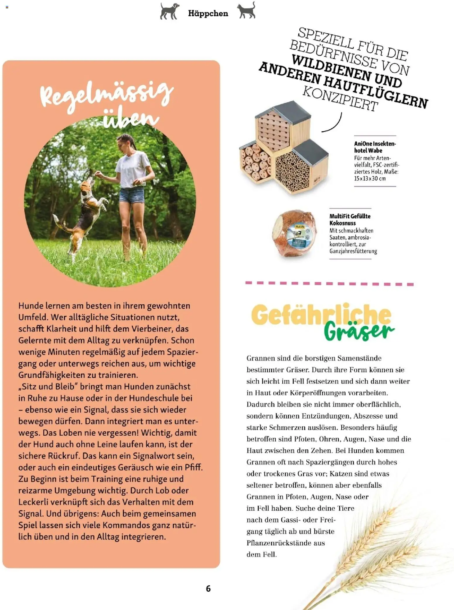 Die besten Angebote | Fressnapf Friends 07,08/26 ab 01.07.2026 | - Jetzt stöbern! | Österreich