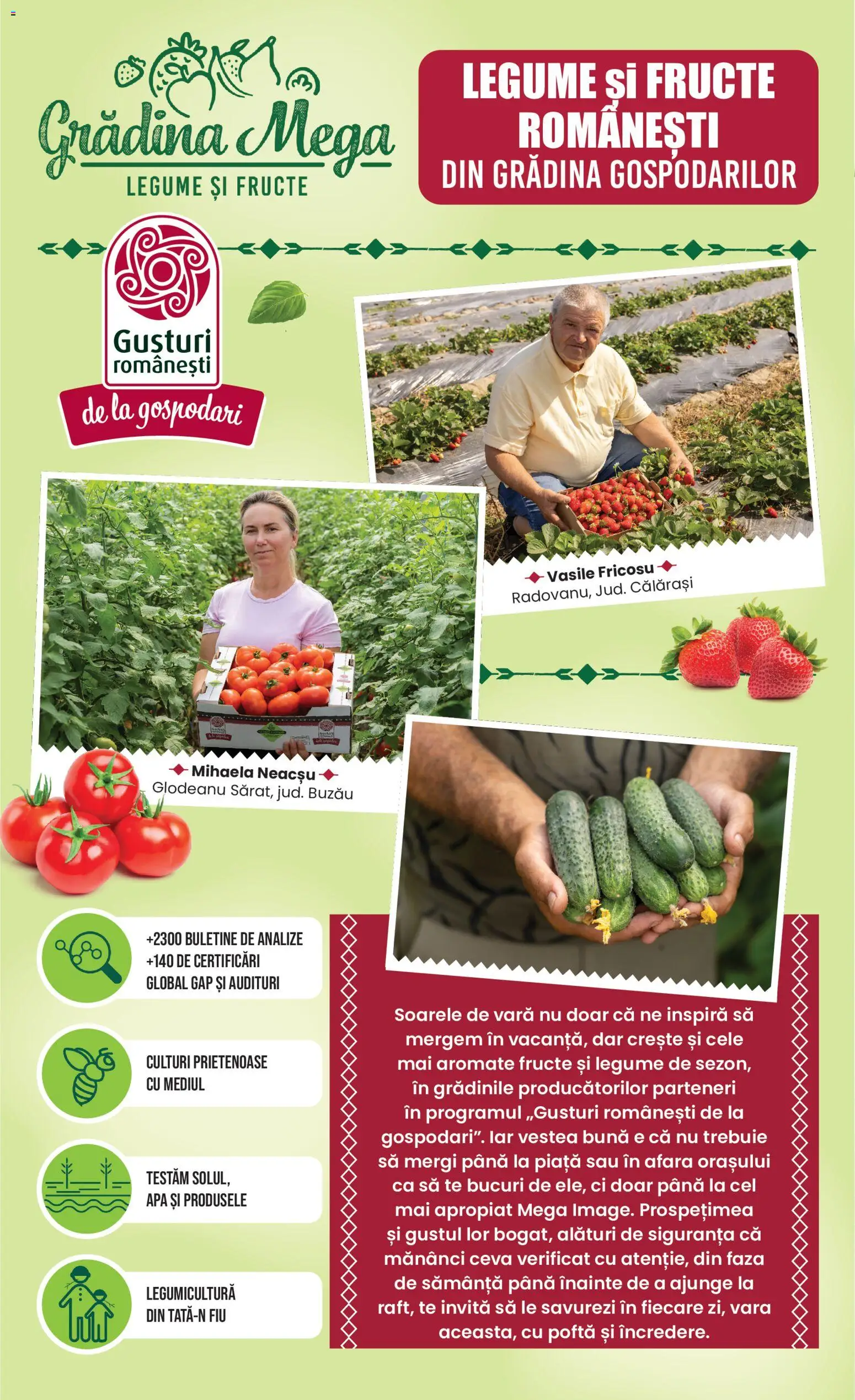 Noul catalog Mega Image – valabil de la 18.06.2026 | Pagină: 10