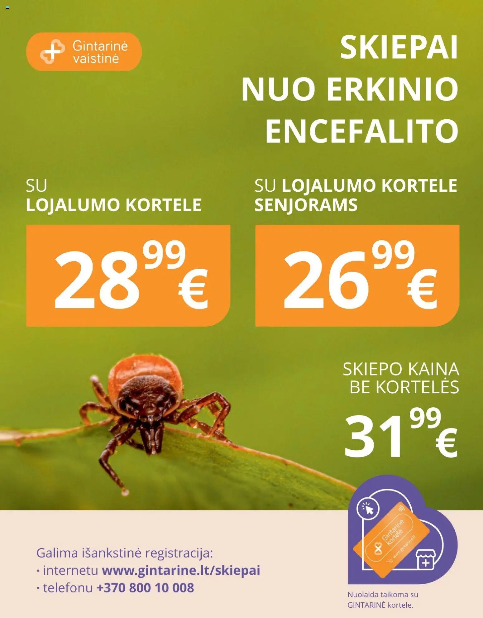 Gintarinė akcijos nuo 2026.08.01 | Puslapis: 20
