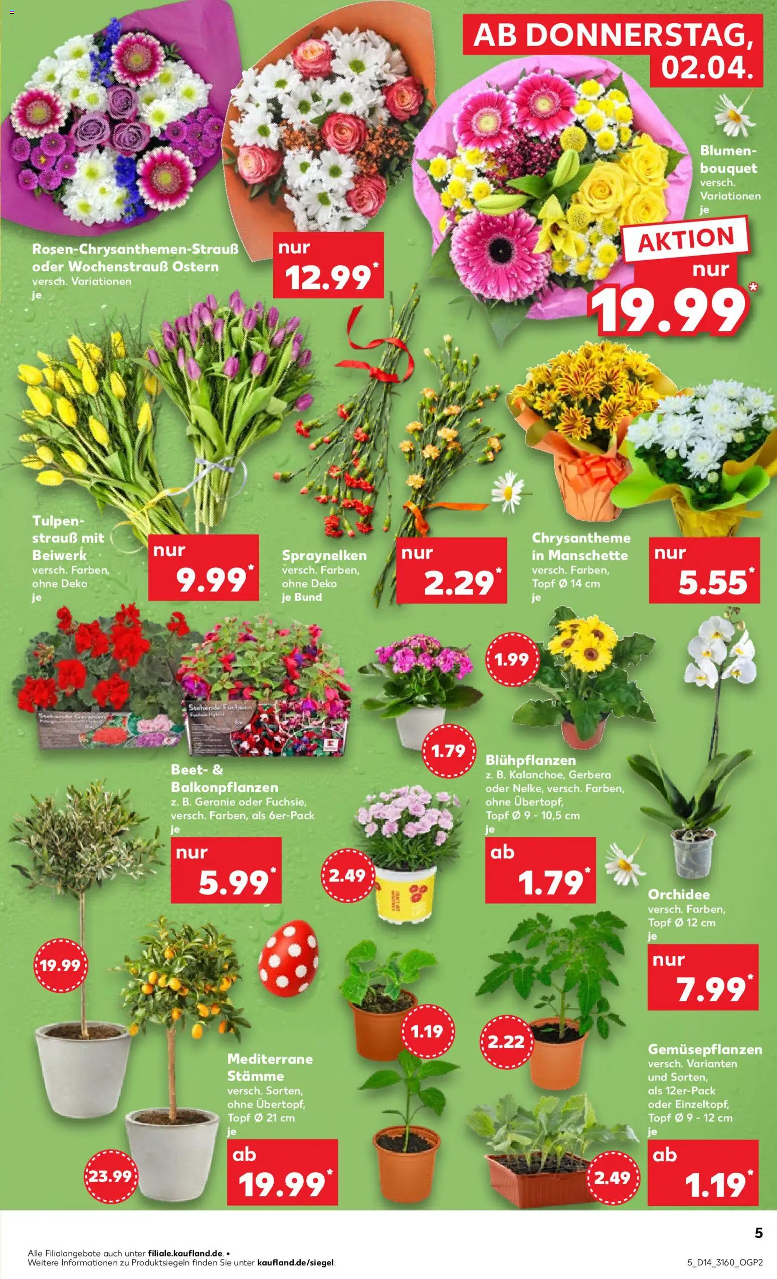 Kaufland Prospekt Rostock	 – gültig ab 02.04.2026 | Seite: 5 | Produkte: Orchidee, Blumen
