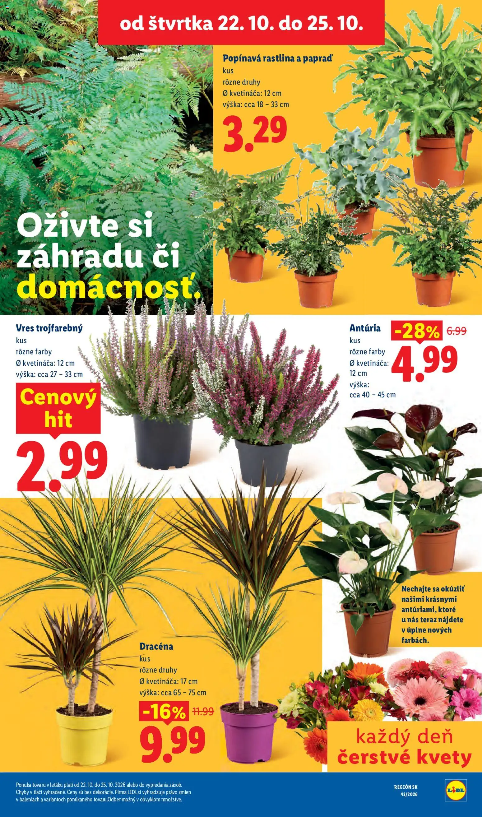 Nové Lidl akcie – leták je platný od 19.10.2026 | Strana: 102