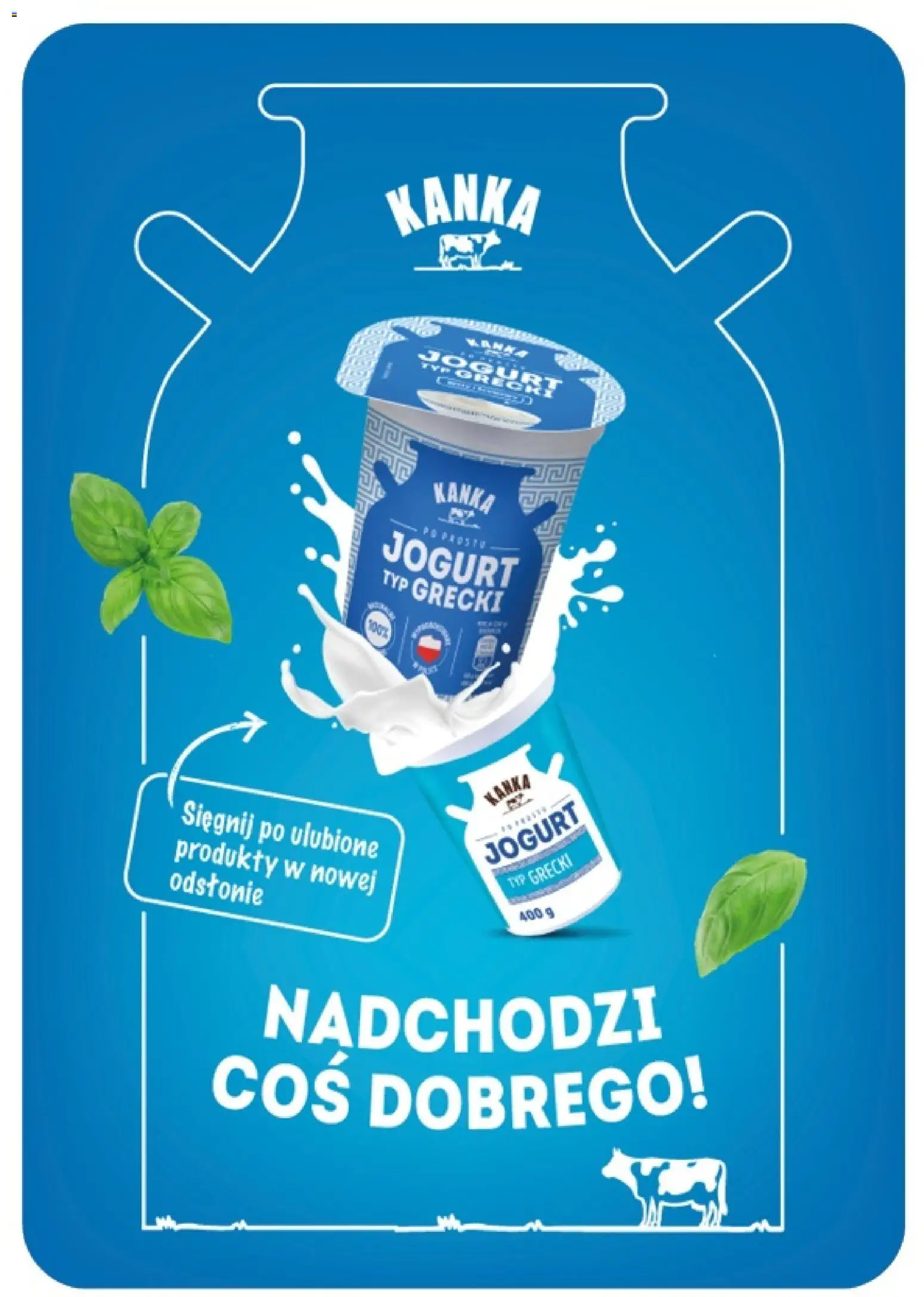 Euro Sklep gazetka od 16.07.2026 | Strona: 28 | Produkty: Jogurt