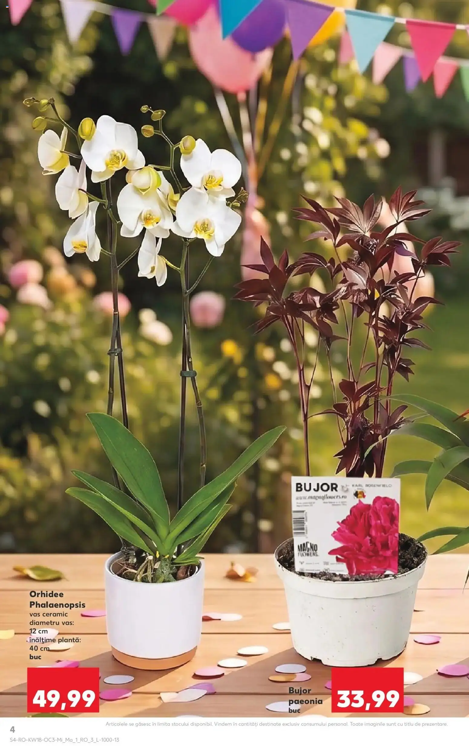 Noul catalog Kaufland – valabil de la 29.04.2026 | Pagină: 4 | Produse: Orhidee