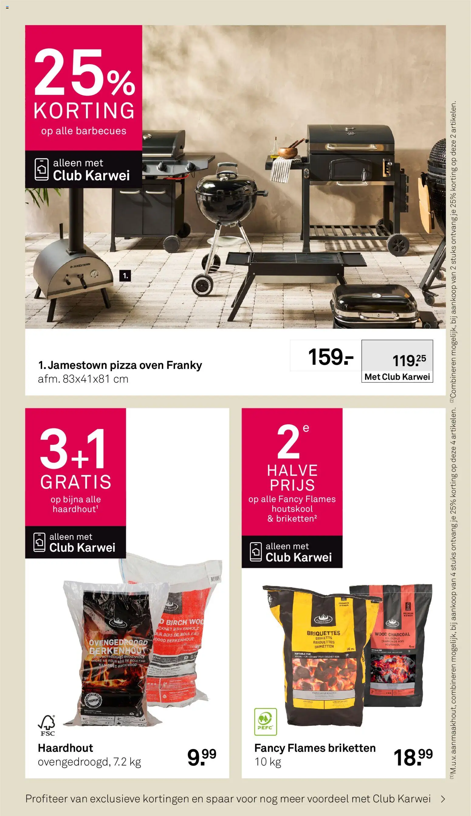 {H1} | Pagina: 46 | Producten: Pizza, Briketten, Oven, Houtskool