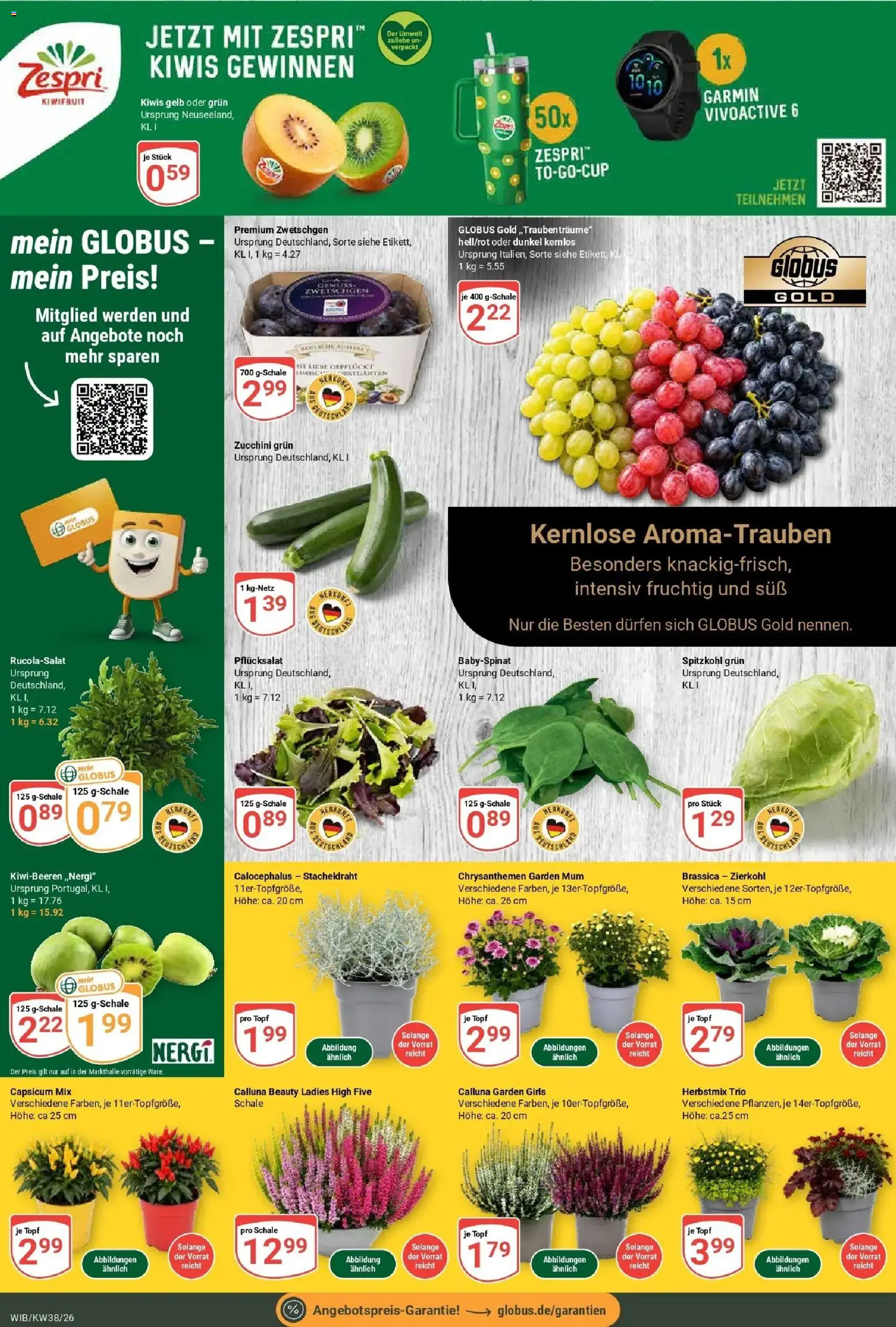 Globus Prospekt Wiesbaden-Nordenstadt (ab 14.09.2026) » Angebote online | Seite: 5 | Produkte: Zwetschgen, Zucchini