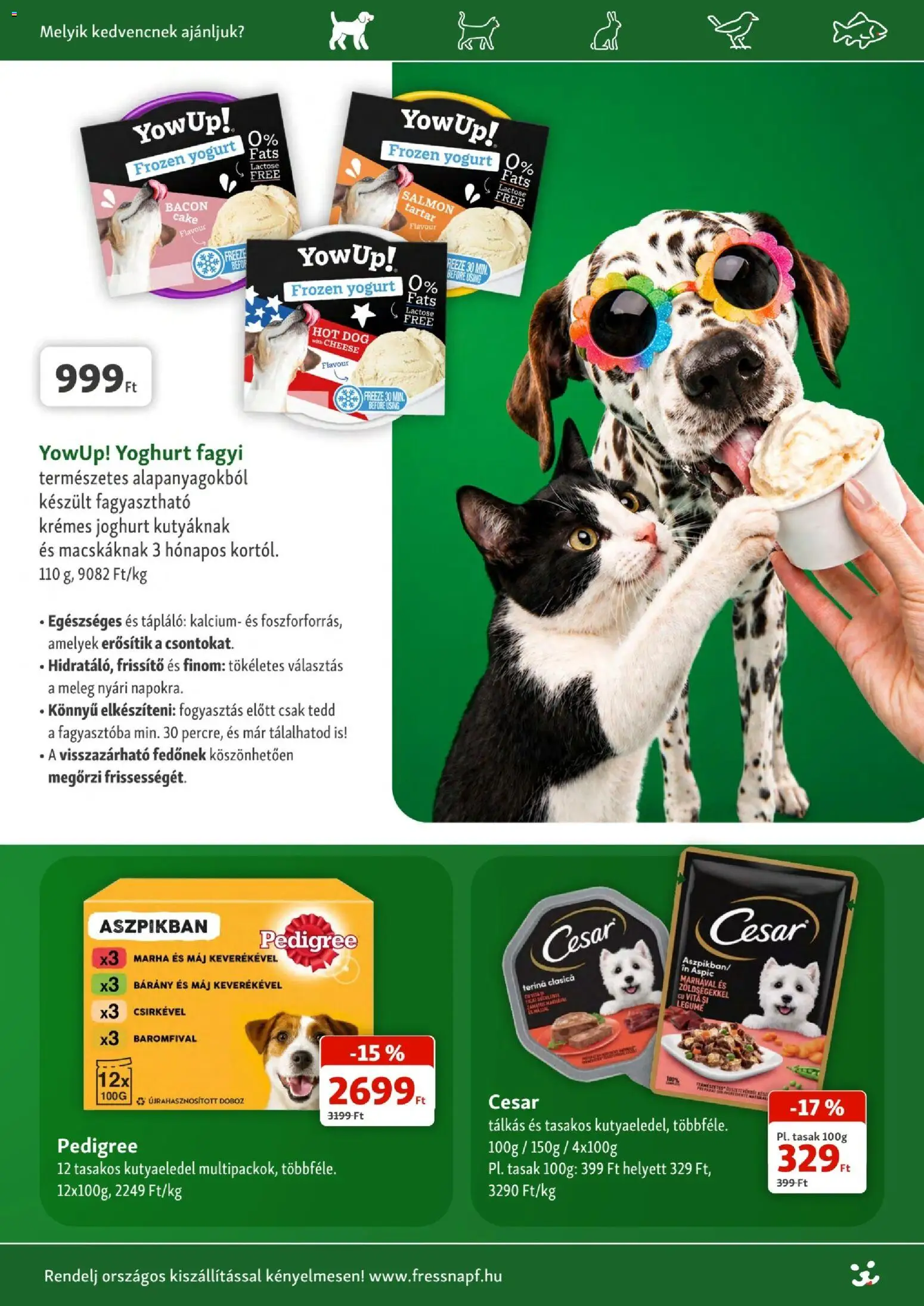 Fressnapf akciós ujság - amely érvényes a következő dátumtól: 2026.08.06. | Oldal: 9 | Termékek: Hot dog, Fagyi, Bacon, Doboz