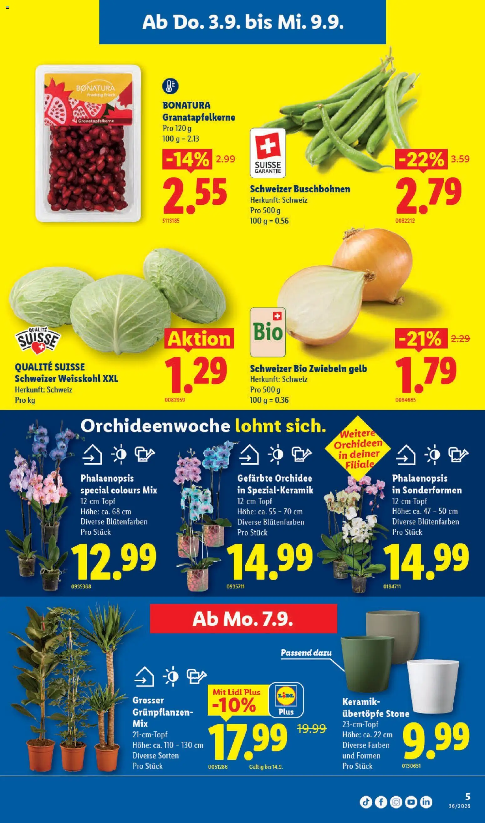 Lidl aktionen – gültig ab 03.09.2026 | Seite: 9 | Produkte: Zwiebeln