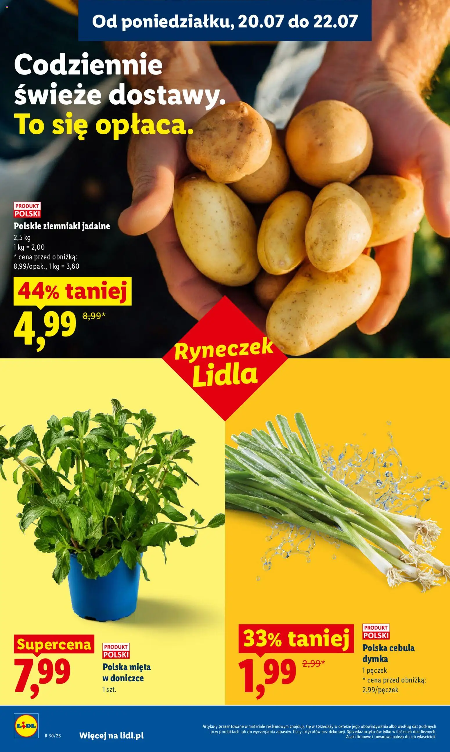 Lidl gazetka od 20.07.2026 | Strona: 50 | Produkty: Cebula dymka, Cebula, Mięta, Ziemniaki