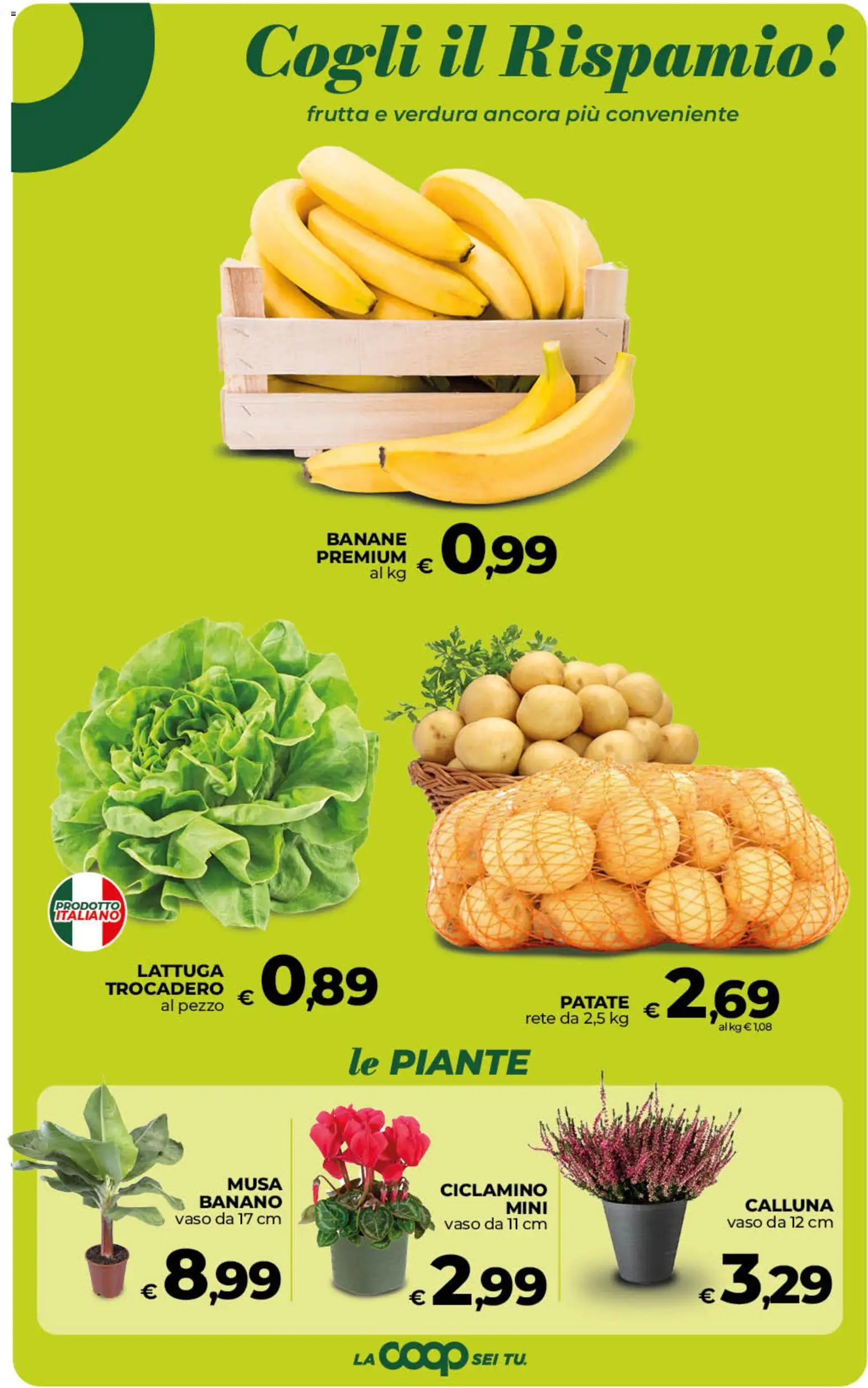 Volantino Ipercoop del 02/10/2026 | Pagina: 25 | Prodotti: Banane, Patate, Frutta, Lattuga