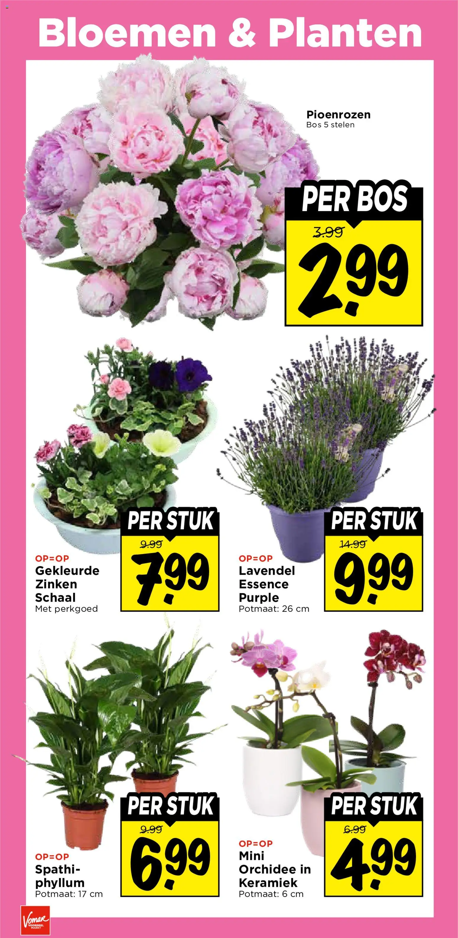 {H1} | Pagina: 37 | Producten: Schaal, Bloemen, Keramiek