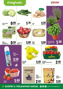 Anteprima del volantino GECOP volantino valido a partire dal 04.05.2026 | Pagina: 10 | Prodotti: Patate, Pomodori, Uva, Lattuga