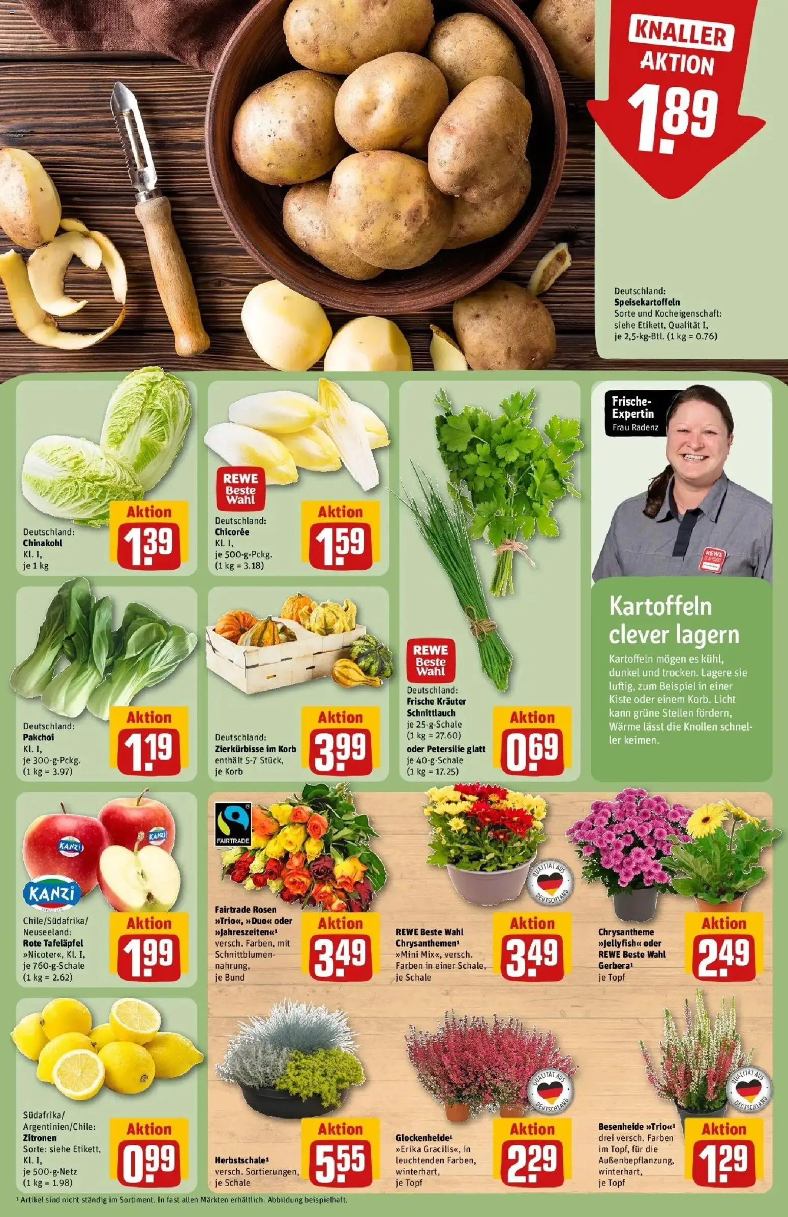 REWE Prospekt ab 21.09.2026 zum Blättern » Angebote | Seite: 13 | Produkte: Korb, Kartoffeln, Chinakohl, Petersilie