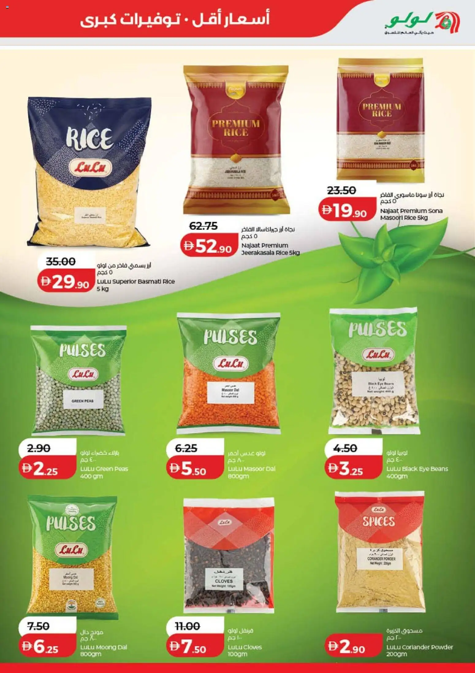 {H1} | Page: 17 | Products: Beans, Rice, Powder, Spices