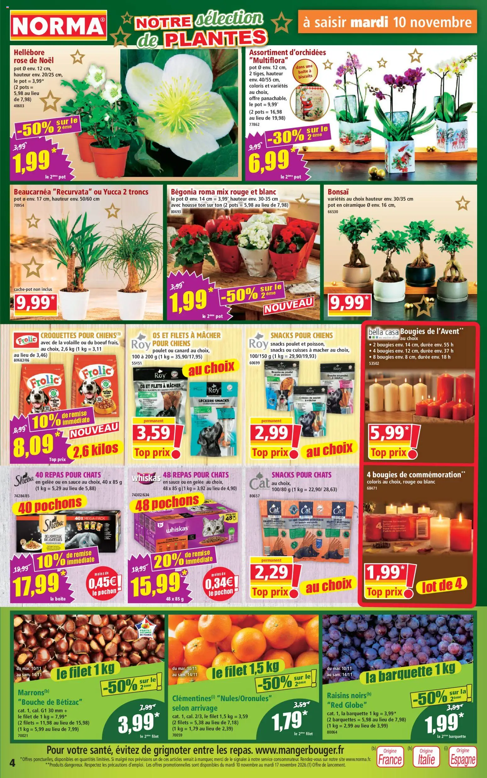 {H1} | Page: 4 | Produits: Pochons, Plantes, Bougies, Biscuits