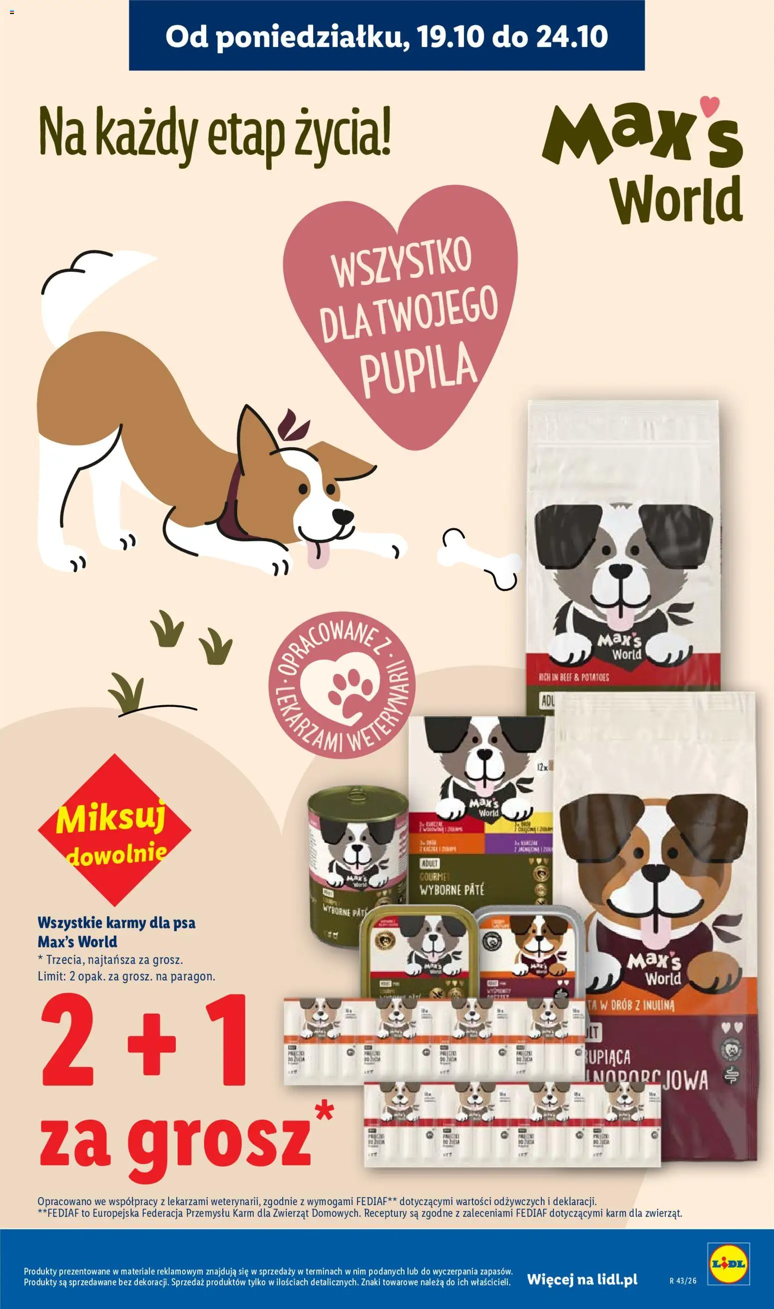 Lidl Polsko katalog od 22.10.2026 | Strana: 39