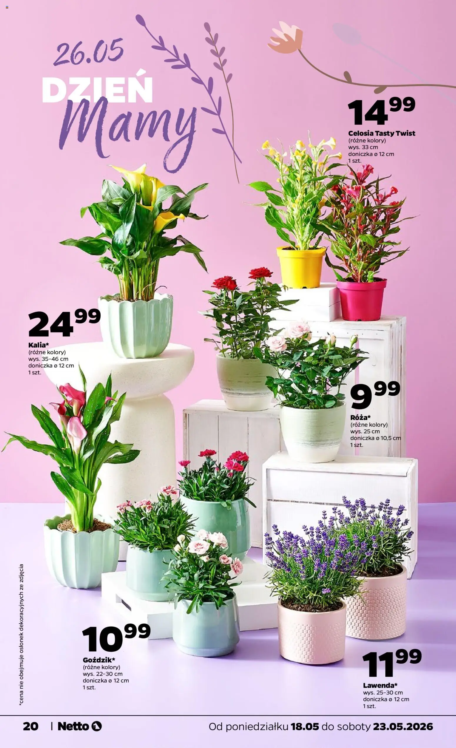 Netto gazetka od poniedziałku spożywcza od 18.05.2026 | Strona: 20 | Produkty: Doniczka