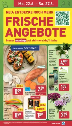 Aldi Prospekt ab 22.06.2026 gültig | Seite: 3